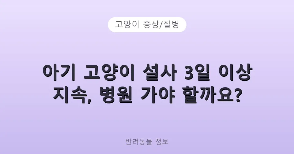 아기 고양이 설사 3일 이상 지속, 병원 가야 할까요?