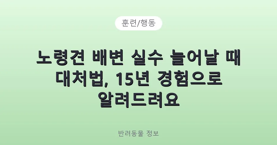 노령견 배변 실수 늘어날 때 대처법, 15년 경험으로 알려드려요