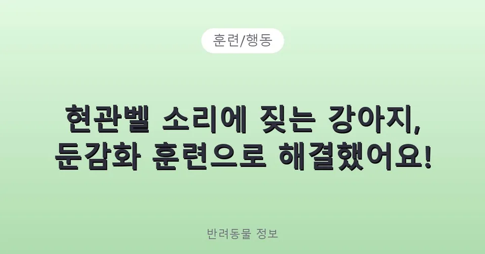 현관벨 소리에 짖는 강아지, 둔감화 훈련으로 해결했어요!
