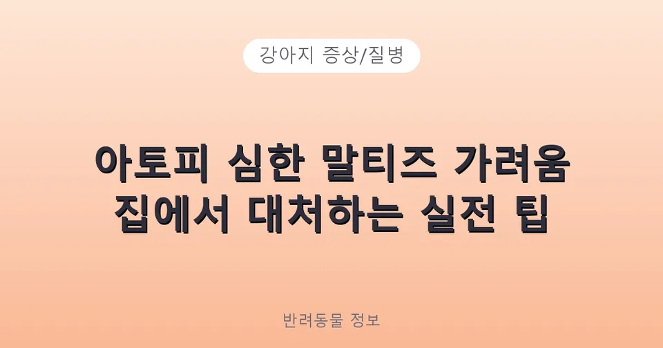 아토피 심한 말티즈 가려움 집에서 대처하는 실전 팁