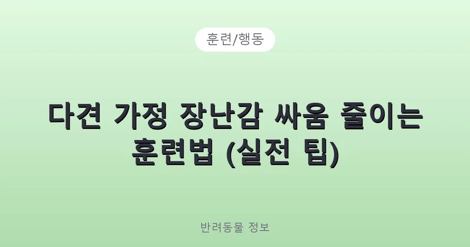 다견 가정 장난감 싸움 줄이는 훈련법 (실전 팁)