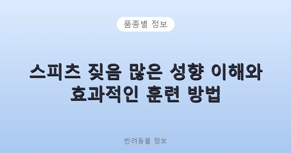 스피츠 짖음 많은 성향 이해와 효과적인 훈련 방법