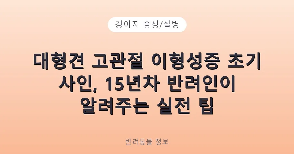 대형견 고관절 이형성증 초기 사인, 15년차 반려인이 알려주는 실전 팁