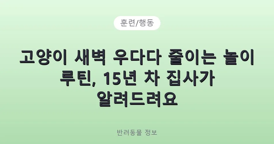 고양이 새벽 우다다 줄이는 놀이 루틴, 15년 차 집사가 알려드려요