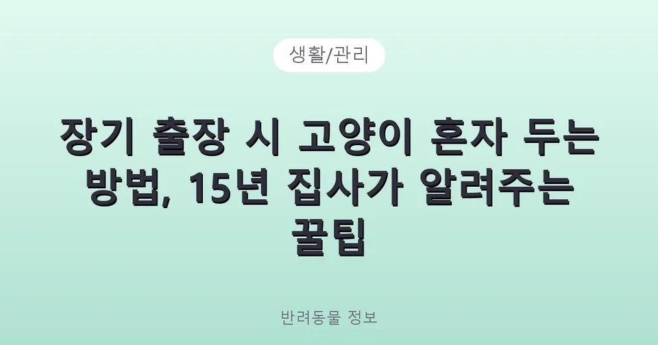 장기 출장 시 고양이 혼자 두는 방법, 15년 집사가 알려주는 꿀팁