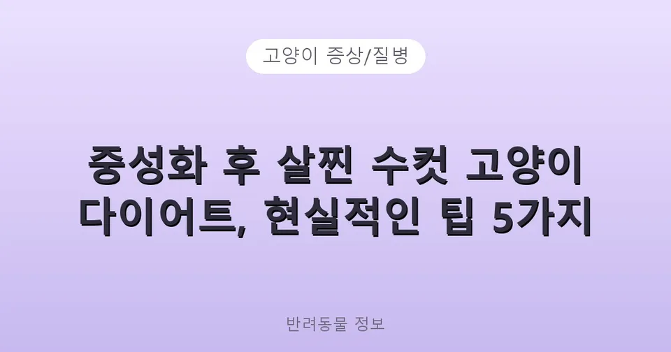 중성화 후 살찐 수컷 고양이 다이어트, 현실적인 팁 5가지