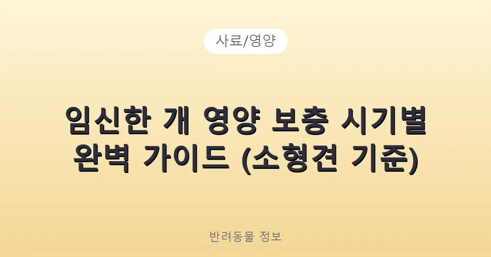 임신한 개 영양 보충 시기별 완벽 가이드 (소형견 기준)
