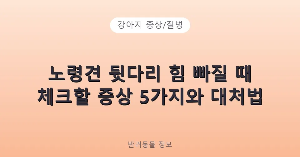 노견 뒷다리 힘 빠짐·풀림: 원인별 구분법과 바로 병원 가야 할 신호