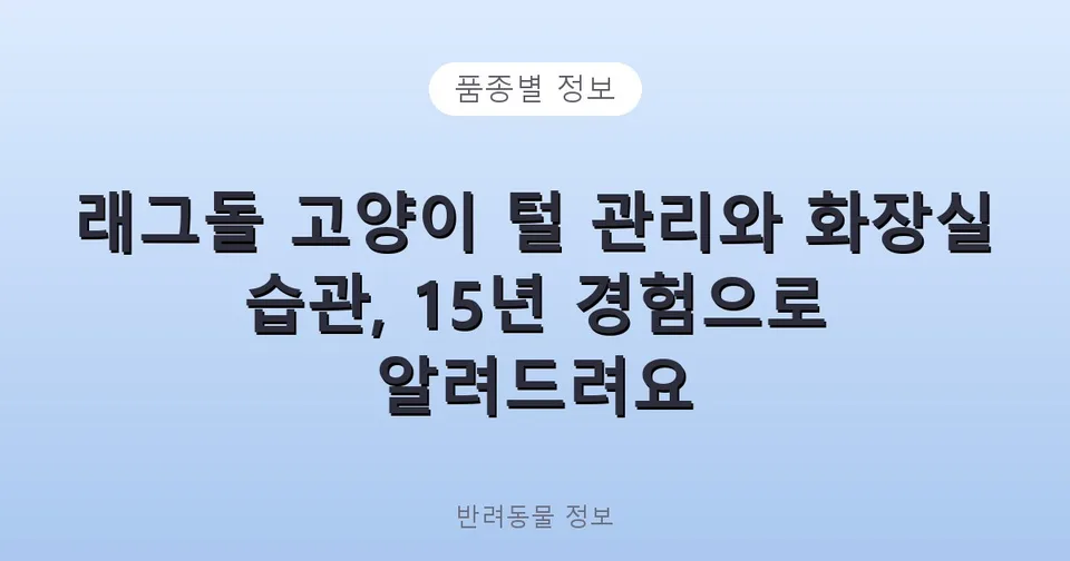 래그돌 고양이 털 관리와 화장실 습관, 15년 경험으로 알려드려요